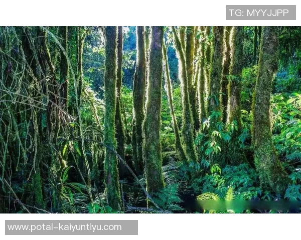 乌栖沙岩与清水的对决探讨自然景观与生态保护的平衡之道 乌栖沙岩与清水的对决探讨自然景观与生态保护的平衡之道